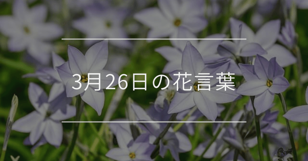 3月26日の誕生花：ハナニラ・シュンランの花言葉など