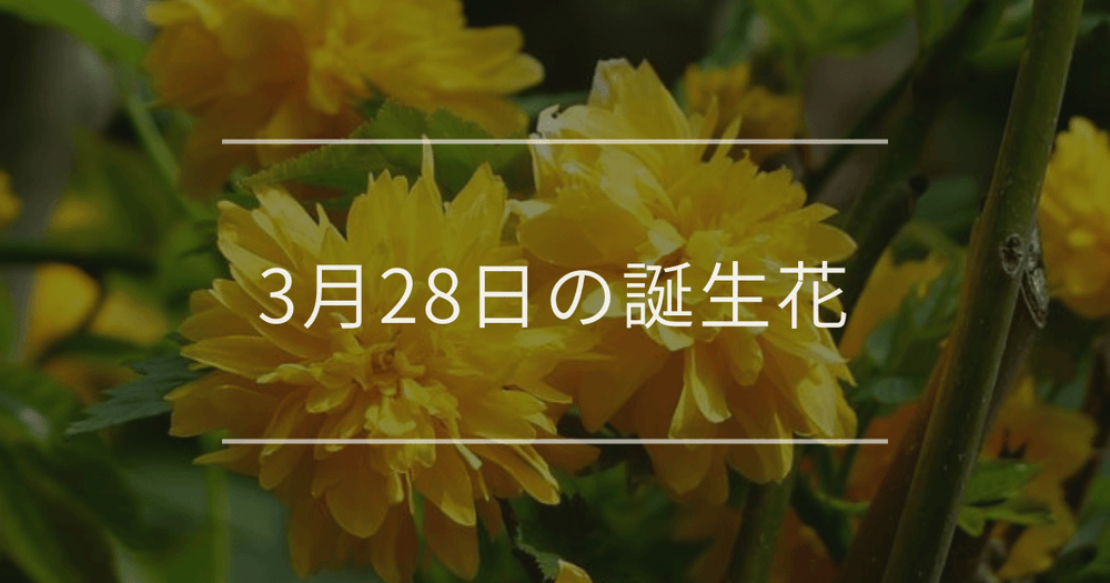 3月28日の誕生花：ヤマブキ・エビネの花言葉など