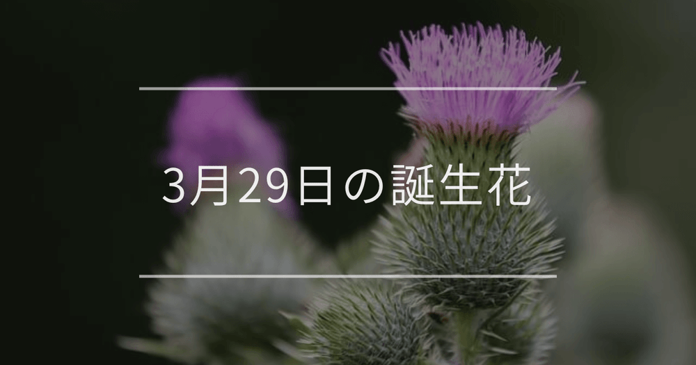 3月29日の誕生花：ゴボウ・タンポポの花言葉など