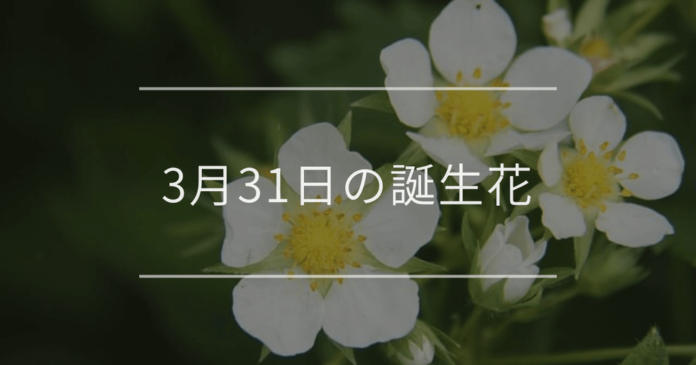 3月31日の誕生花：イチゴ・ニゲラの花言葉など