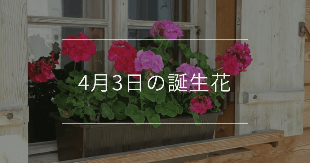 4月3日の誕生花：ゼラニウム・アジアンタムの花言葉など