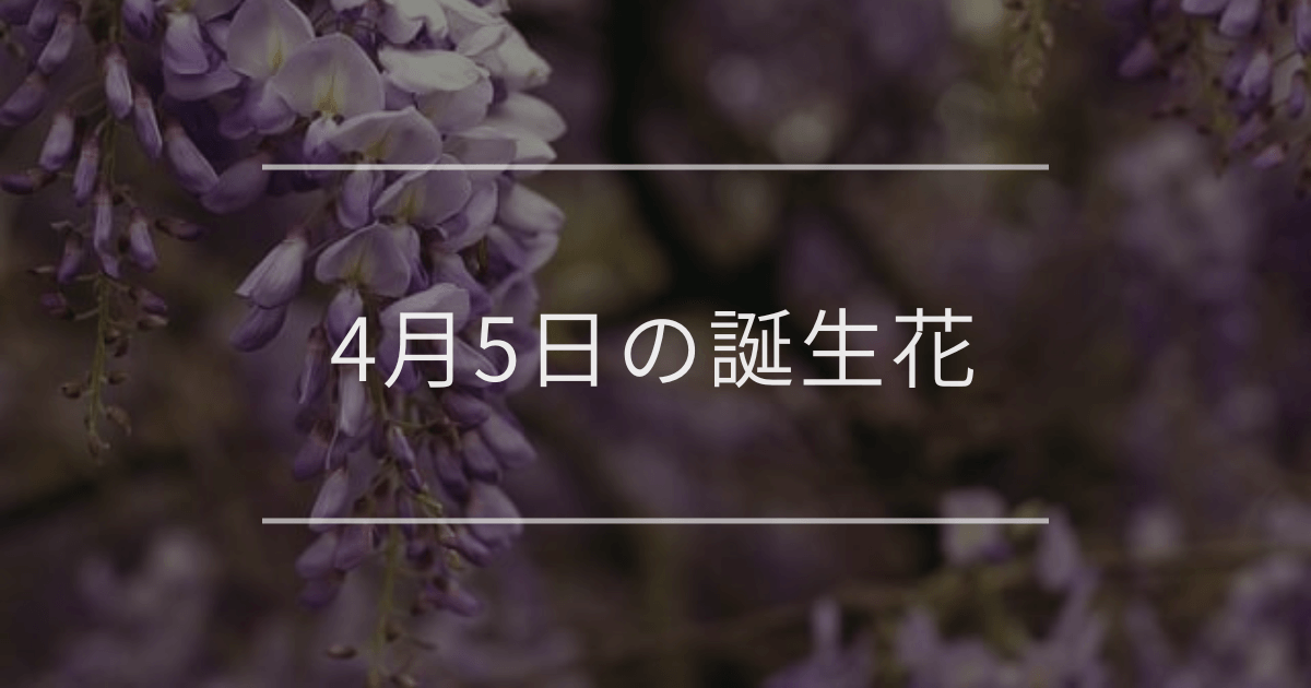 4月5日の誕生花：フジ(藤)・ワスレナグサの花言葉など | 観葉植物 