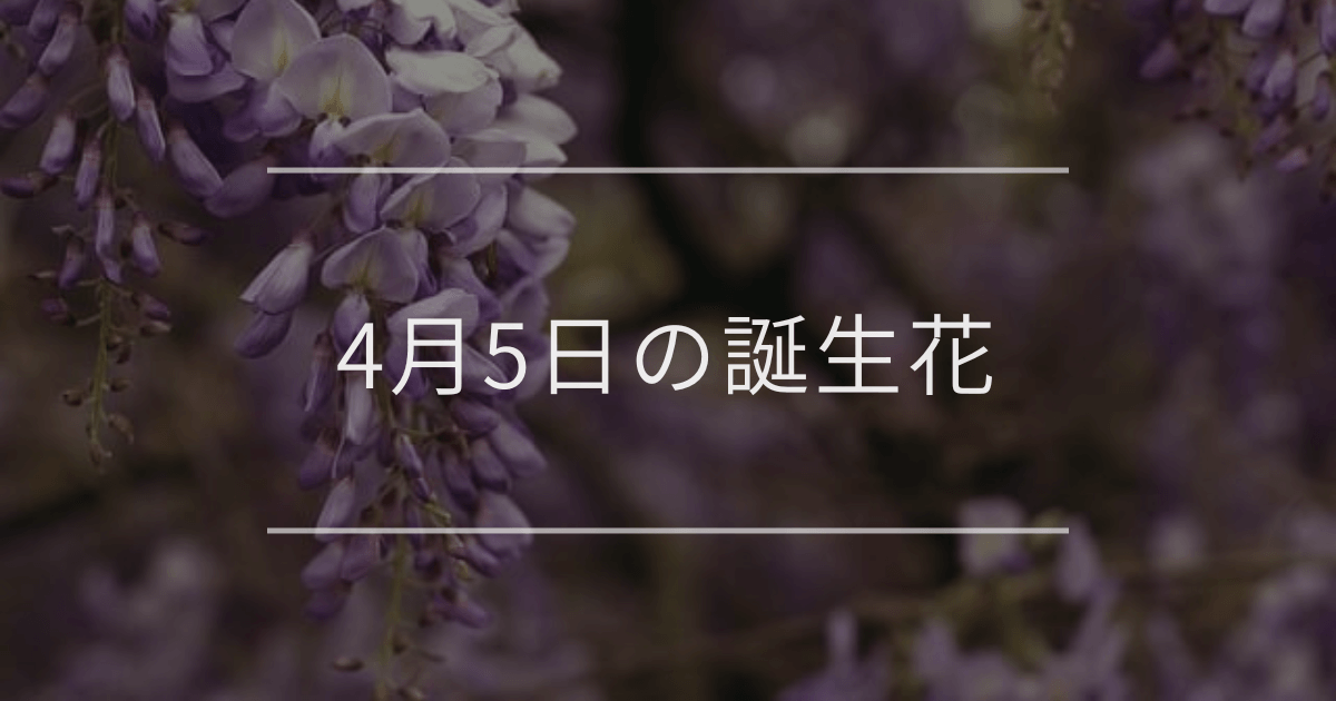 4月5日の誕生花