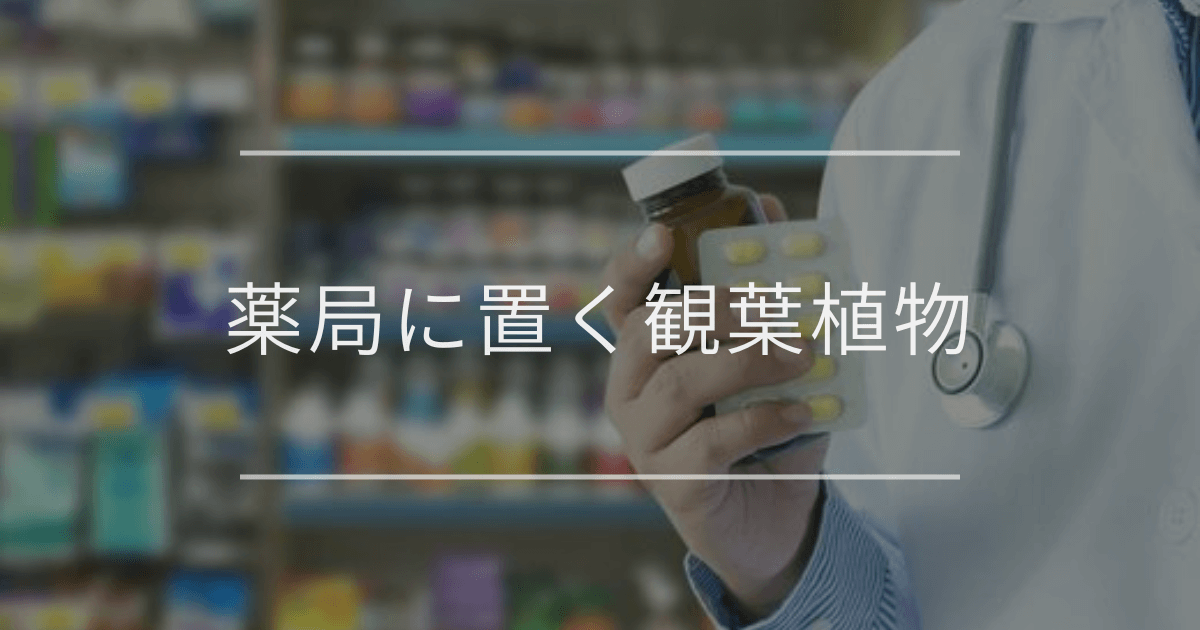 薬局に置く観葉植物
