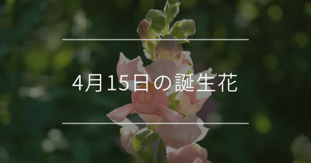 4月15日の誕生花：キンギョソウ・ゴデチアの花言葉など