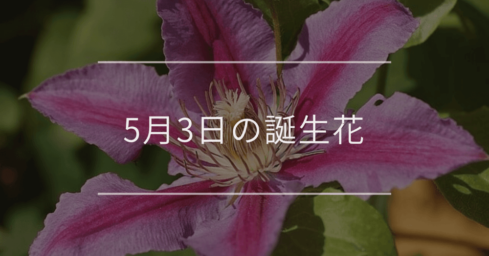 5月3日の誕生花：クレマチス・タンポポの花言葉など