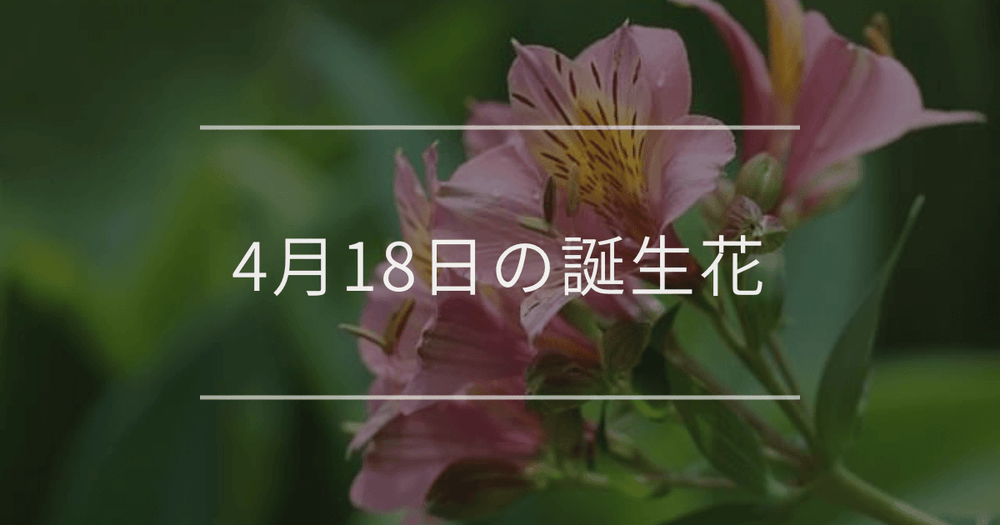 4月18日の誕生花：アルストロメリア・スターチスの花言葉など