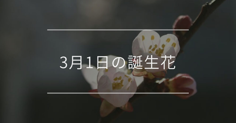 3月1日の誕生花：アンズ(杏)・ヤグルマギクの花言葉など