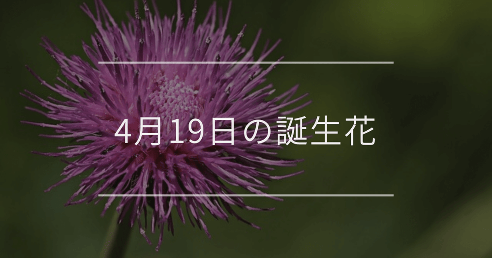 4月19日の誕生花：アザミ・デルフィニウムの花言葉