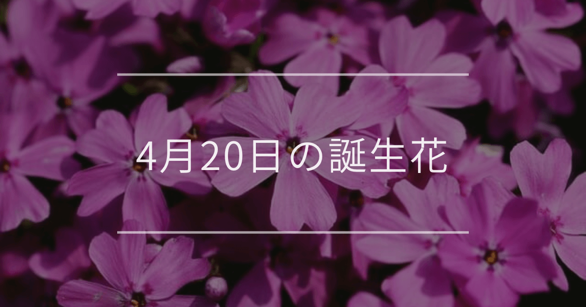 4月20日の誕生花：シバザクラ・ナシ(梨)の花言葉など