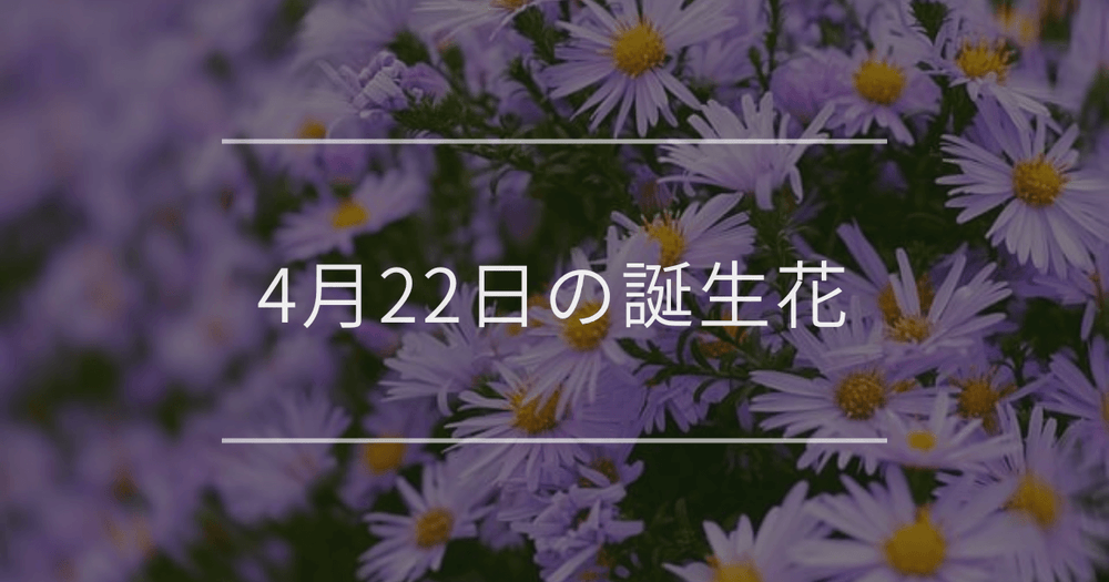 4月22日の誕生花：アスター(エゾギク)・ムシトリナデシコの花言葉など