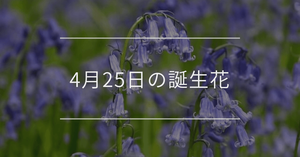 4月25日の誕生花：ブルーベル・バイモの花言葉など