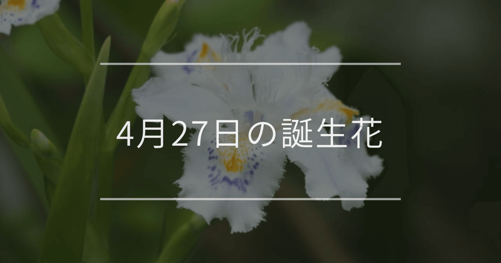4月27日の誕生花：シャガ・アカシアの花言葉など