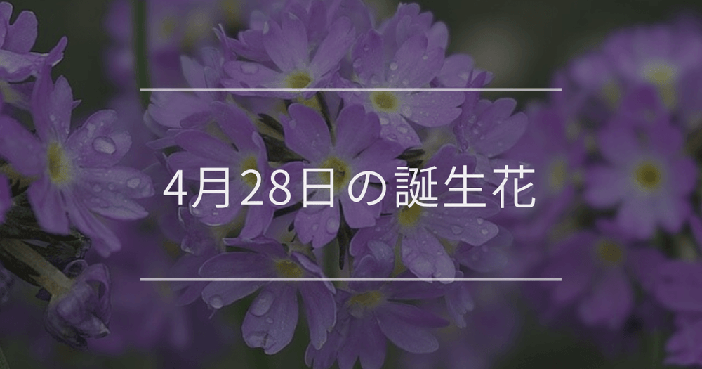 4月28日の誕生花：サクラソウ・バイカウツギの花言葉など