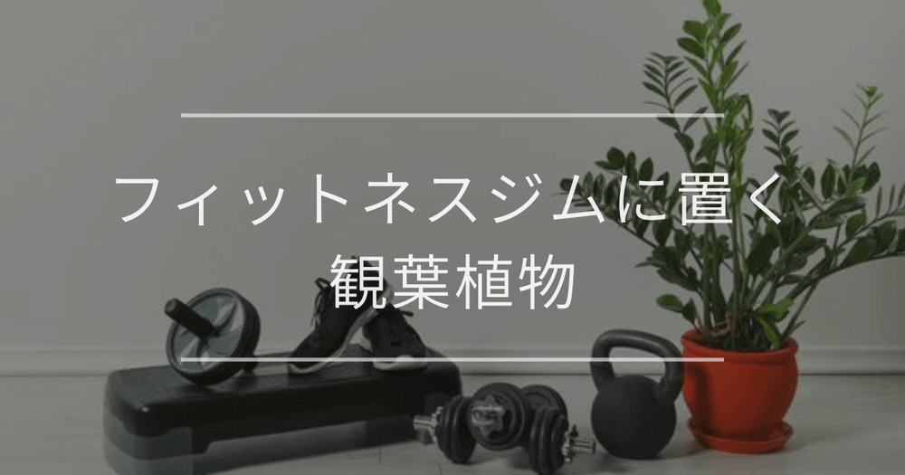 フィットネスジムに置く観葉植物｜おすすめの種類とインテリア例