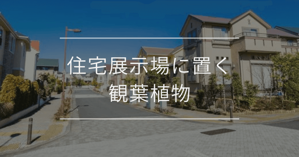 住宅展示場に置く観葉植物｜おすすめの種類とインテリア例