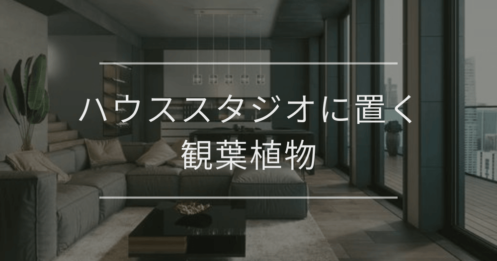 ハウススタジオに置く観葉植物｜レイアウト例やチェックポイントを紹介