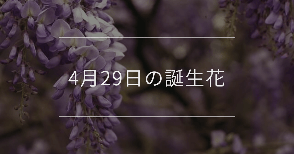 4月29日の誕生花：フジ(藤)・カキツバタの花言葉など