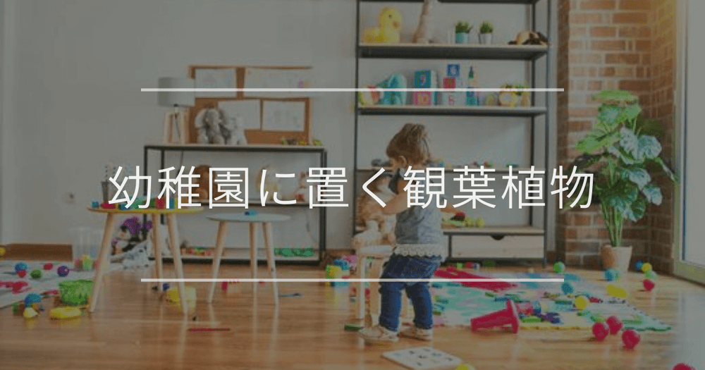 幼稚園に置く観葉植物｜おすすめの種類とインテリア例