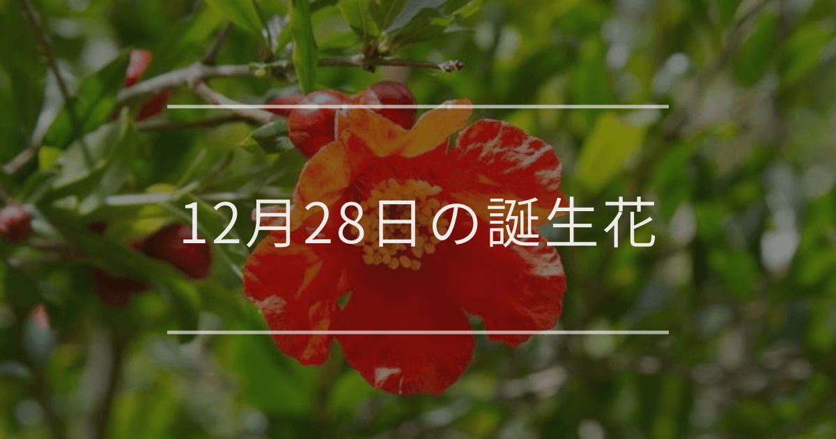 12月28日の誕生花