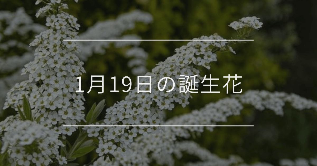 1月19日の誕生花：ユキヤナギ・マツ(松)の花言葉など | 観葉植物・お花 ...