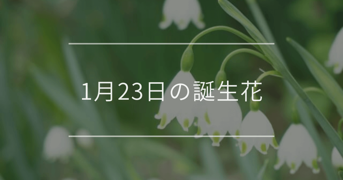 1月23日の誕生花