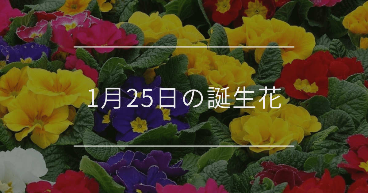 1月25日の誕生花