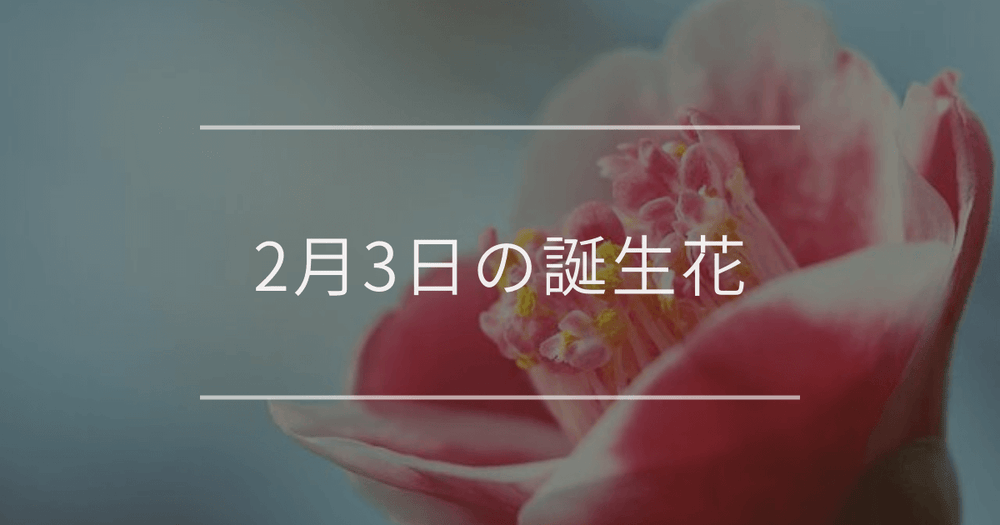 2月3日の誕生花：ツバキ・セツブンソウの花言葉など