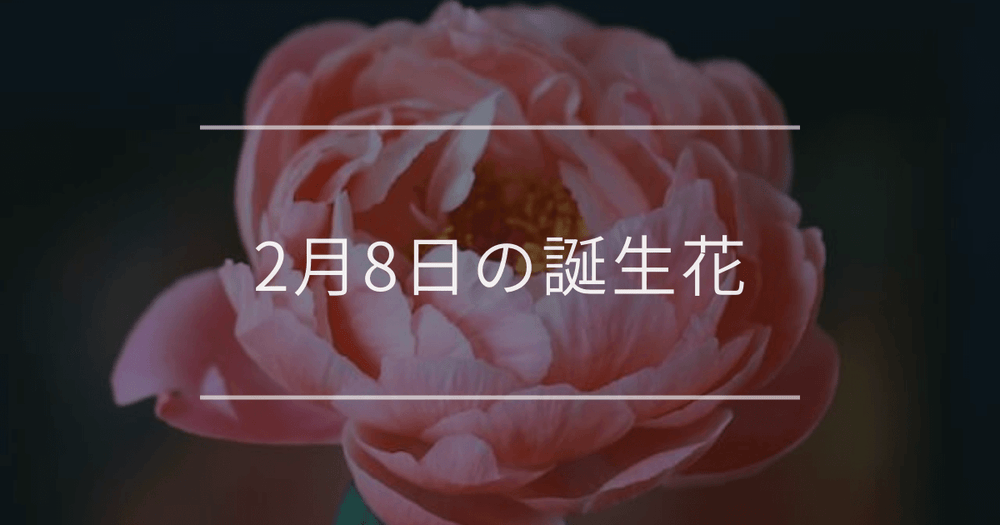 2月8日の誕生花：シャクヤク(芍薬)・キンセンカの花言葉など