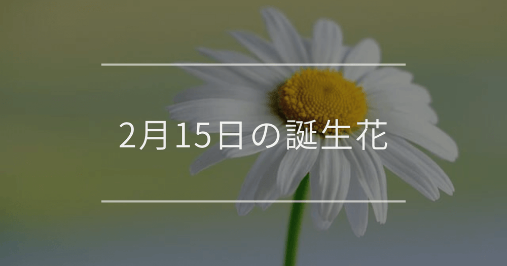 2月15日の誕生花：デイジー・ミツマタの花言葉など