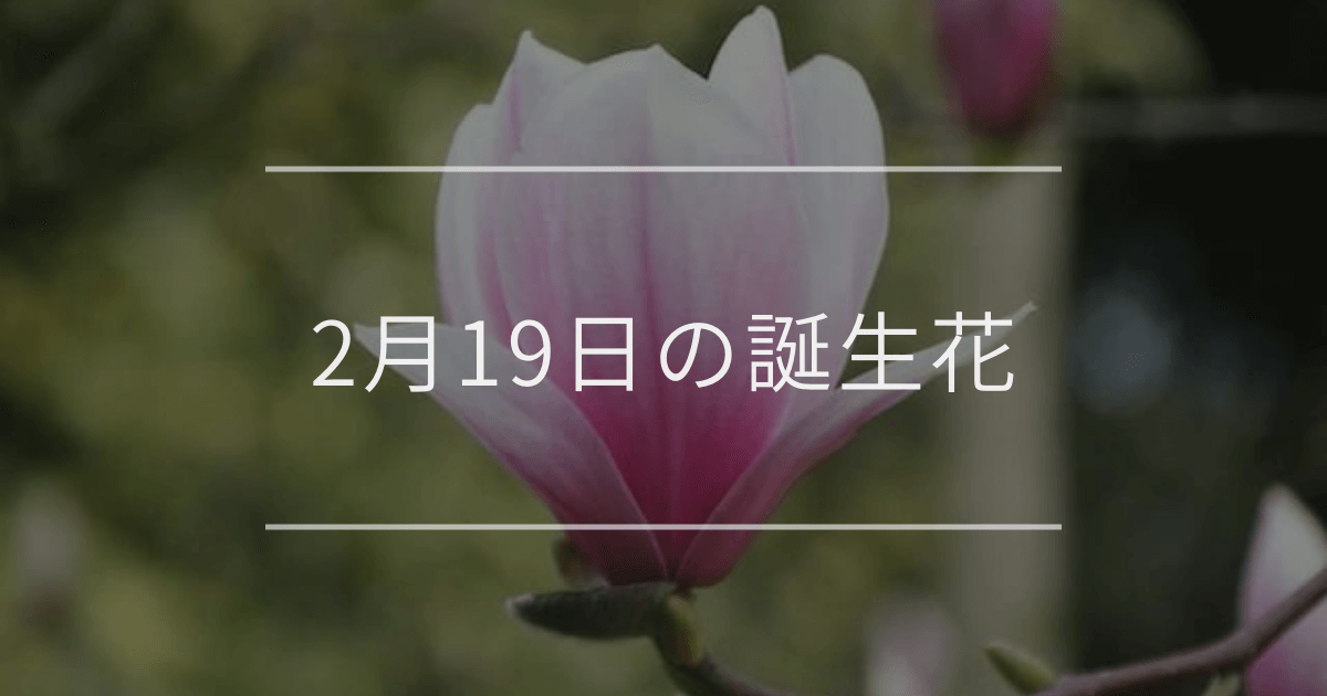 2月19日の誕生花