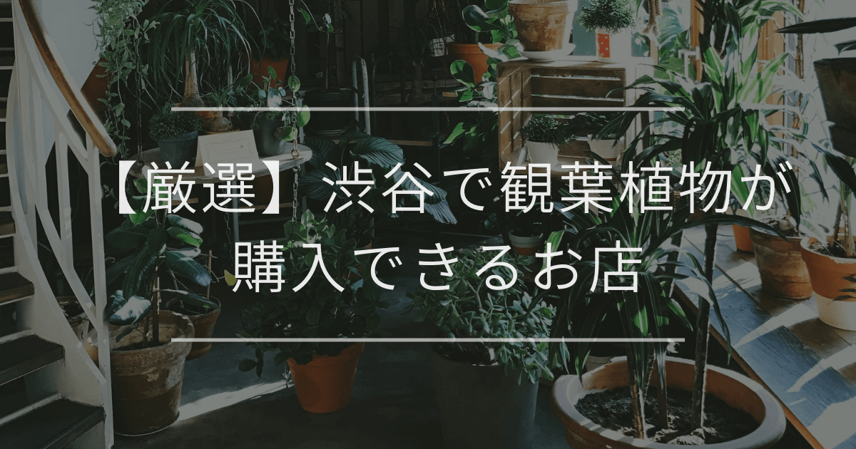 【厳選】渋谷で観葉植物が購入できるお店