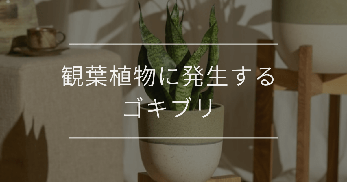 「友情」の花言葉|友達に贈りたい素敵な花言葉17選 | 観葉植物・お花の通販 AND PLANTS (アンドプランツ)