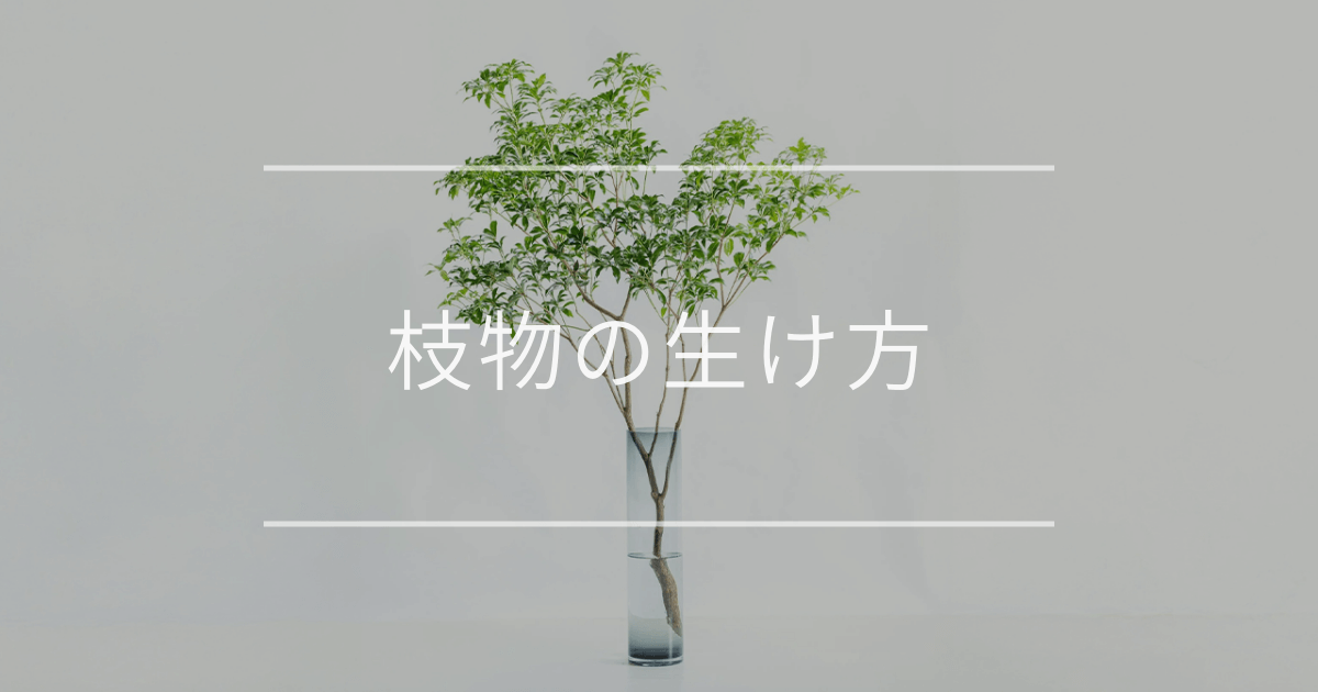 【初心者必見】枝物の生け方|ケア方法からおしゃれな魅せ方まで紹介 | 観葉植物の通販 AND PLANTS (アンドプランツ)