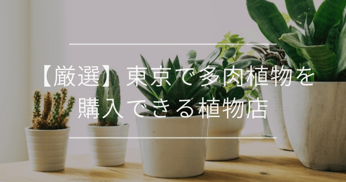 虫がわかない観葉植物5選|特徴やおすすめを紹介 | 観葉植物・お花の通販 AND PLANTS (アンドプランツ)