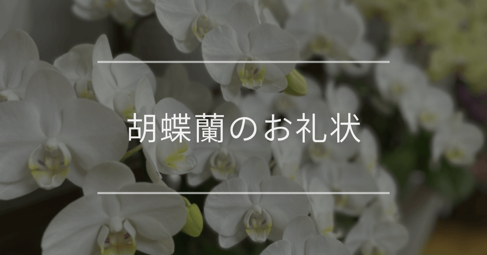 胡蝶蘭のお礼状テンプレートと注意点