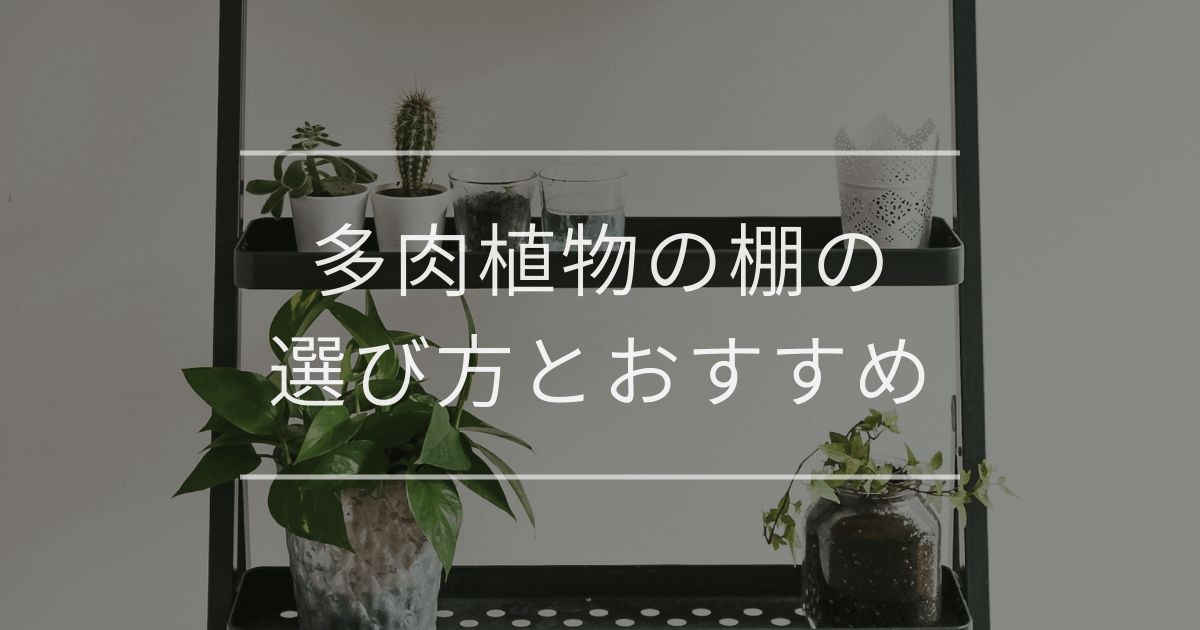 多肉植物の棚の選び方とおすすめ