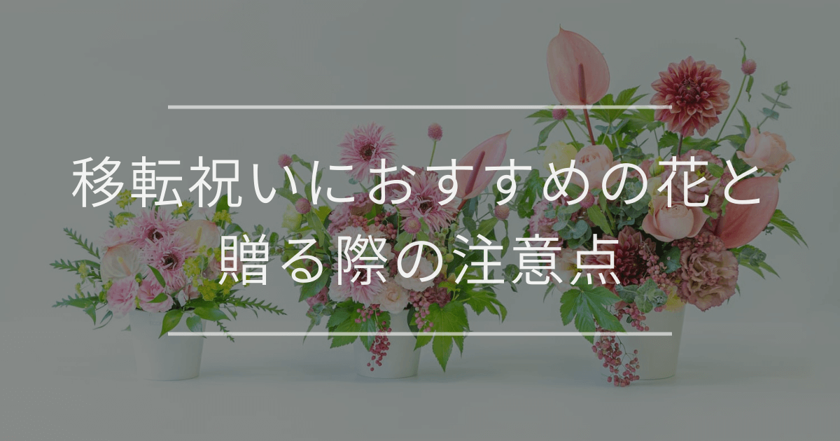 移転祝いにおすすめの花と贈る際の注意点