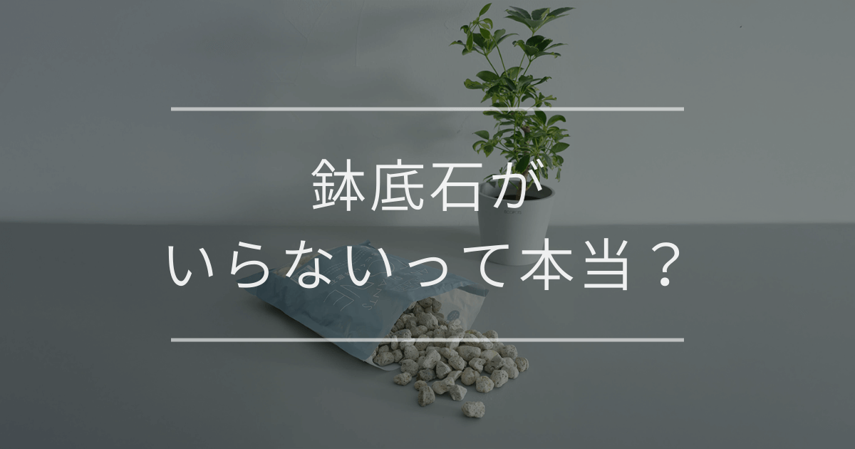 鉢底石がいらないって本当？必要性についてケースごとに解説