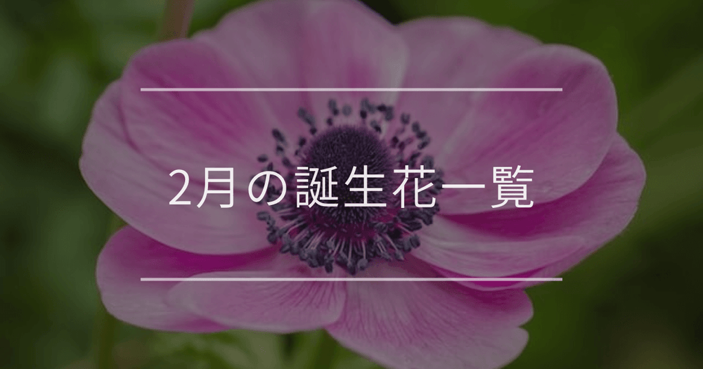 2月の誕生花一覧｜誕生月と誕生日の花言葉