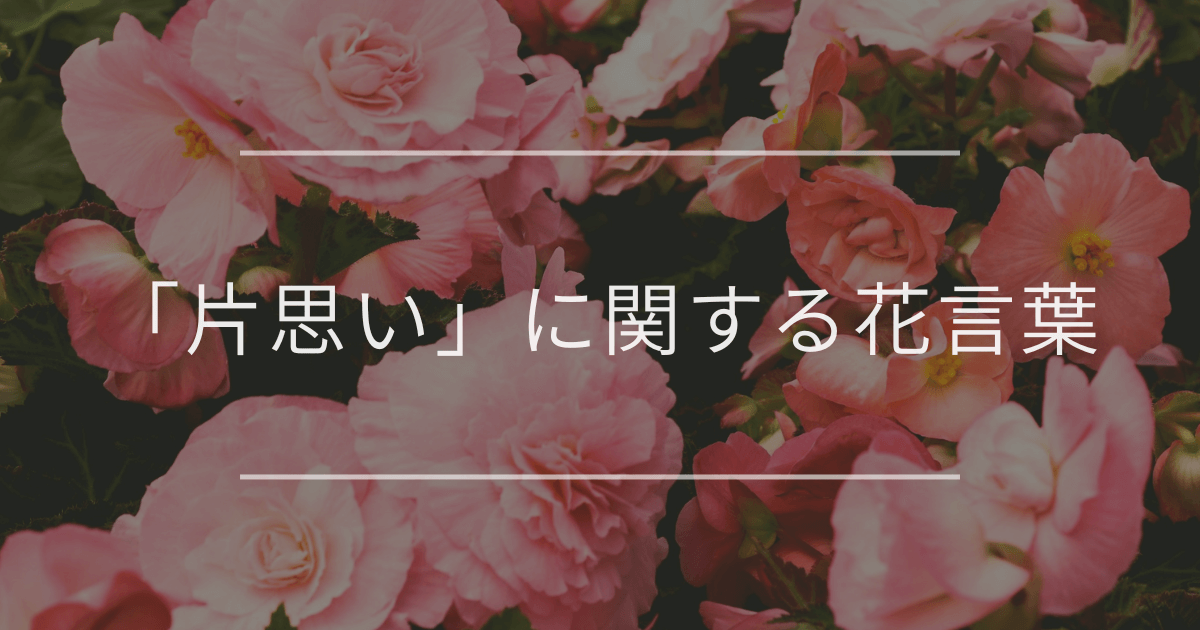 「片思い」に関する花言葉