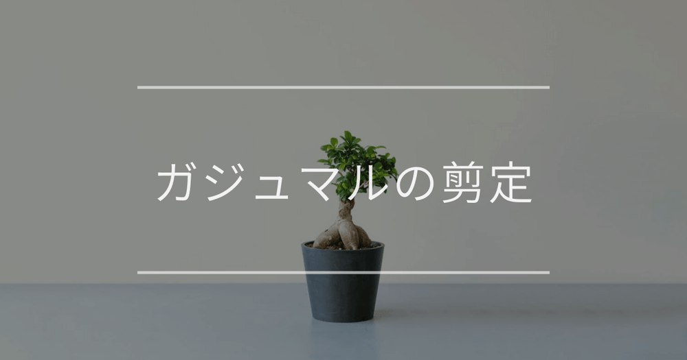 ガジュマルの剪定｜理由と切る時期について