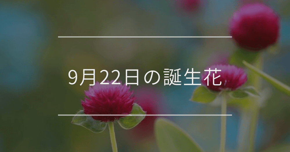 9月22日の誕生花：センニチコウ・アカネの花言葉など