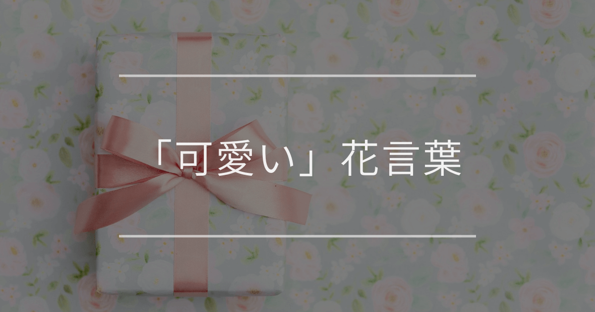 「可愛い」花言葉