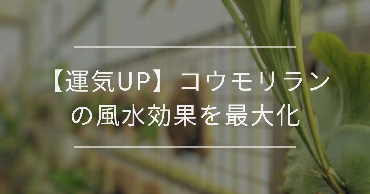 【運気UP】コウモリランの風水効果を最大化｜置き場所や方角