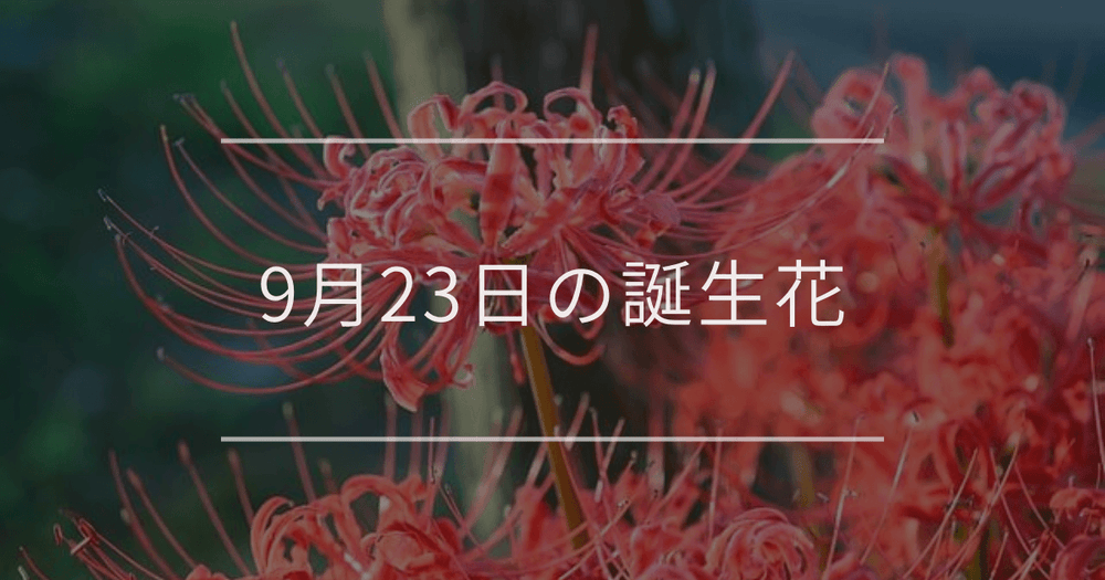9月23日の誕生花：ヒガンバナ・ダリアの花言葉など
