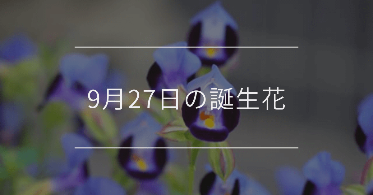 9月27日の誕生花