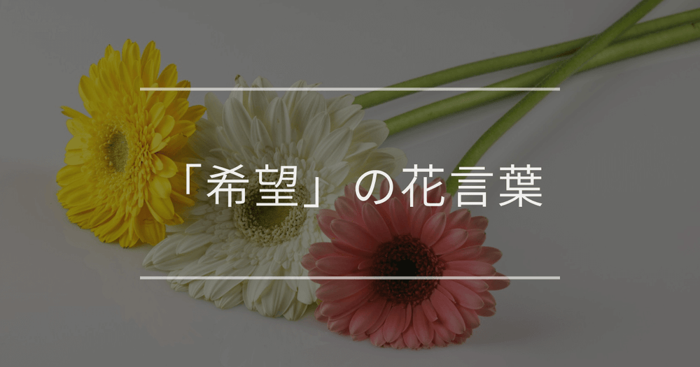 「希望」の花言葉を持つ植物｜応援したい時や前向きになりたい時におすすめ