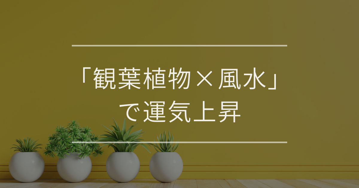 「観葉植物×風水」で運気上昇｜運気を引き寄せる選び方や最適な場所