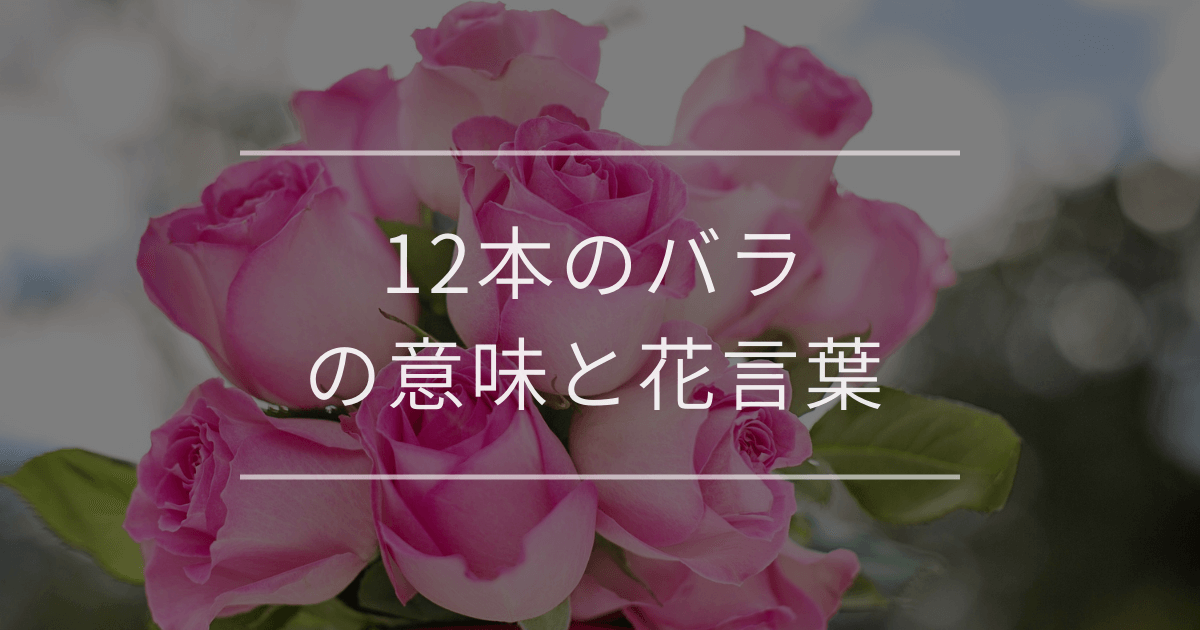12本のバラの意味と花言葉 | 観葉植物・お花の通販 AND PLANTS (アンド
